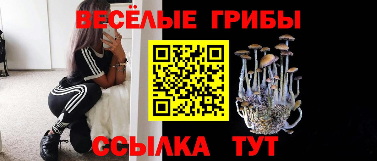 Псилоцибиновые грибы мухоморы Торжок